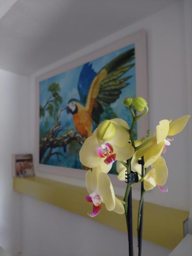 L83 - Rooms And Apartments Lisbon Luaran gambar